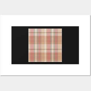 Cottagecore Aesthetic Conall 2 Hand Drawn Textured Plaid Pattern Posters and Art